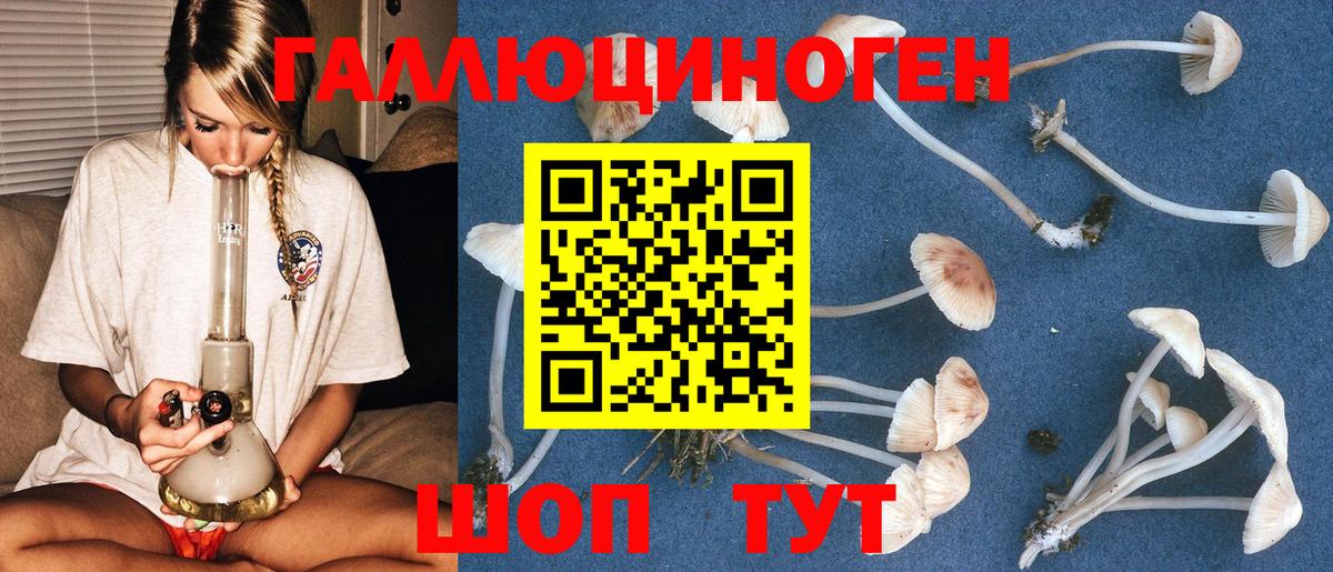 Псилоцибиновые грибы ЛСД Тамбов