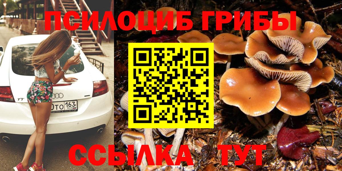 Псилоцибиновые грибы мицелий  купить наркотики сайты  Тамбов  Вход с VPN 